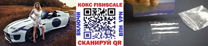 Кокаин FishScale  наркота  Шадринск 