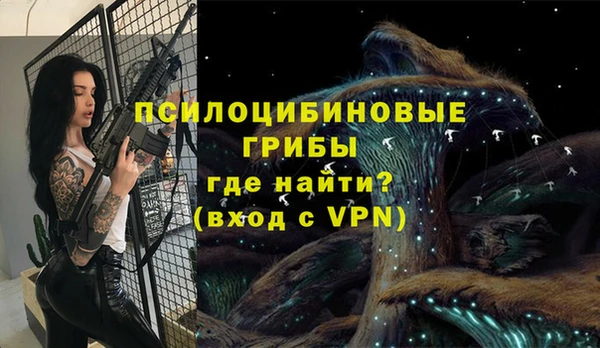 шишки Аркадак