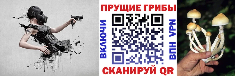 Галлюциногенные грибы мухоморы  omg маркетплейс  Шадринск  сайты даркнета клад  купить  сайты 