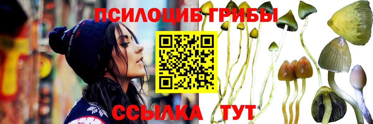 Псилоцибиновые грибы мухоморы  Вход с VPN  Шадринск 