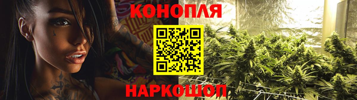 Конопля гибрид  Конопля ГИДРОПОН  Вход с VPN  Конопля семена  Шадринск 